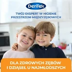 DENTEK Dental Floss for Children Toothbrushes Fyn Flossers, 40pcs