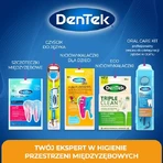DENTEK Dental Floss for Children Toothbrushes Fyn Flossers, 40pcs