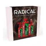 Farmona Radical Kit Kräftigungsspülung, 100 ml + Kräftigungsshampoo für fallendes Haar, 400 ml + Nebel für fallendes Haar, 200 ml