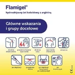 Flamigel gel hydrocolloïde, 100 g - gel cicatrisant