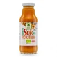 DARY NATURY duindoornsap, 270ml
