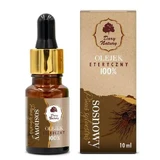 DARY NATURY etherische olie - den 100%, 10 ml
