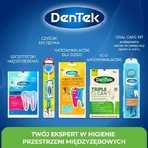 DENTEK Multifunctionele reiniger 3in1 On The Go, 12st