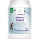 Full Health Arthrose Unterstützung 1400mg Joint & Bone Health Supplement 350gr Vanille