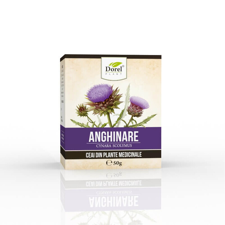 Thé d'artichaut, 50 g, Dorel Plant