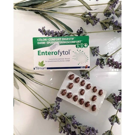 Tilman Enterofytol Food Supplement Special 60 caps