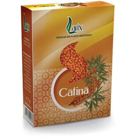 Ceai de Catina, 75 g, Larix