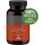 TerraNova Cordyceps 500mg 50 caps