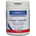 Lamberts Jengibre 60 cáps.