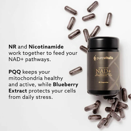 Purovitalis NAD+ Booster suplement diety Special 30 kaps: ceny i cechy