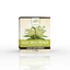 Wolf's Coltul thee (Cretusca), 50 g, Dorel Plant