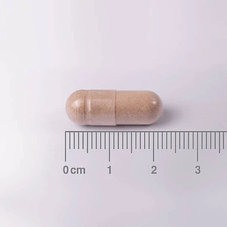 Lamberts L-Theanine 200mg 60 Capsules