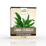 Ceai de Limba Cerbului navalnic, 120 g, Dorel Plant