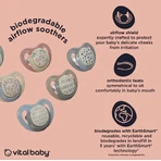 Soothing Soothers With Airflow 0-6 Months Earthsmart Vital Baby