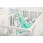 Minky Blanket - Hedgehogs Mint 75X100