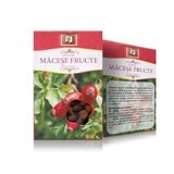 Macese vruchtenthee, 50 g, Stef Mar Valcea