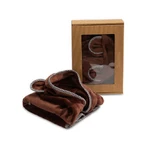 Teddy Bear Brown