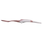 Cucharas para leche maternizada Earthsmart Vital