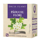 Tisane de fleurs d'aubépine, 50g, Dacia Plant