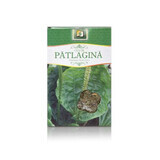 Patlagina thee, 50 g, Stef Mar Valcea