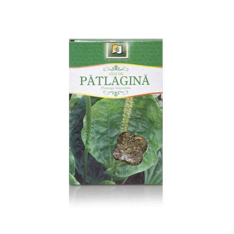 Thé Patlagina, 50 g, Stef Mar Valcea