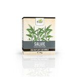 Salbeitee, 50 g, Dorel Plant