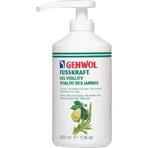 Gehwol Fusskraft Leg Vitality Hydraterende Verstevigende Crème voor Benen en Schouders 500ml