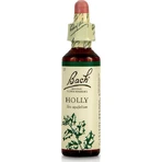 Bach Holly Flower Essence Drops 20ml: ceny i cechy