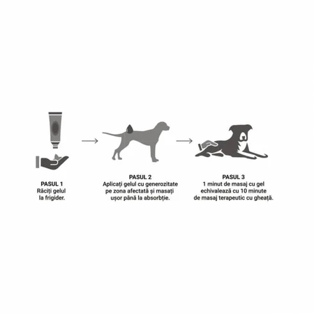 VETAPRO orthovet gel chien et chat 60ml