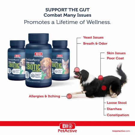 Bio PetActive Synbioflora voor middelgrote en grote honden 60 tabletten