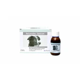 ReCONVALES TONICUM HOND 90ml