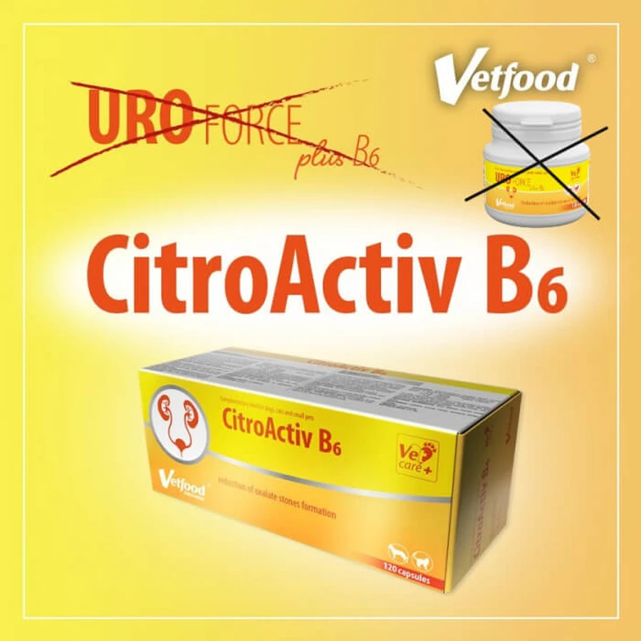 VetFood CitroActiv B6, 120 capsules