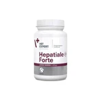 Hepatiale Forte Grote Fok 550 mg - 40 Tabletten