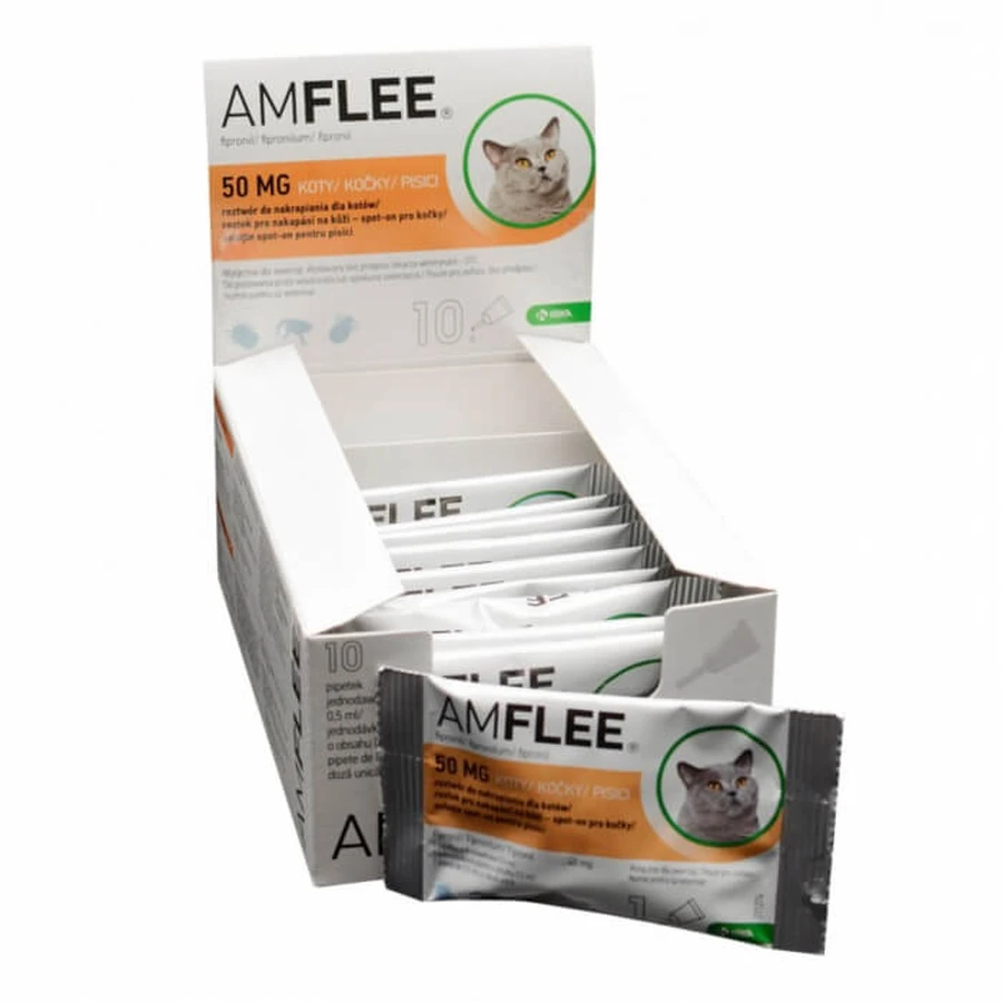AMFLEE 50 mg roztwór do nakrapiania dla kotów 1 pipeta (0,50 ml): ceny i cechy