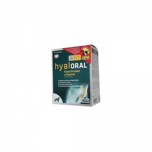 Hyaloral Große Rasse 12 Tabletten/Blister