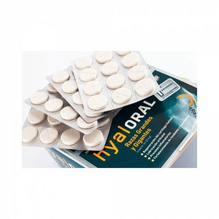 Hyaloral Große Rasse 12 Tabletten/Blister