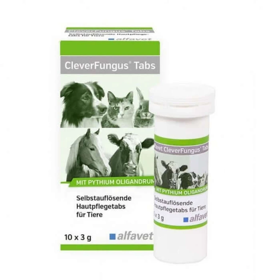 Alfavet Schimmeltabletten 10x3g