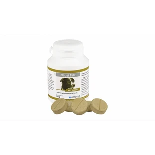 Nausi Tab, 20 comprimidos - 110 g