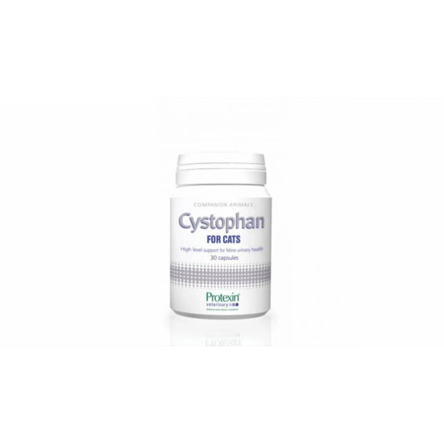 CYSTOPHAN para gatos - 240 cápsulas