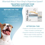 Dia-Tab, supplement for dogs, 6 tablets x 5 g