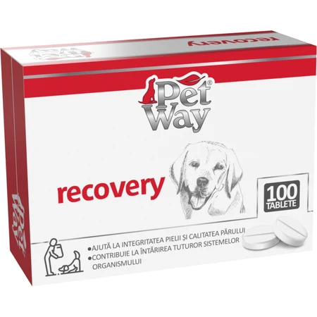 Petway Erholung - 100 Tabletten