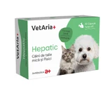 Suplemento, VetAria+ Hepático para perros pequeños y gatos, 30 cápsulas Twist-Off