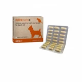 Nutravet NUTRAMARIN+ for dogs and cats, 60 tablets
