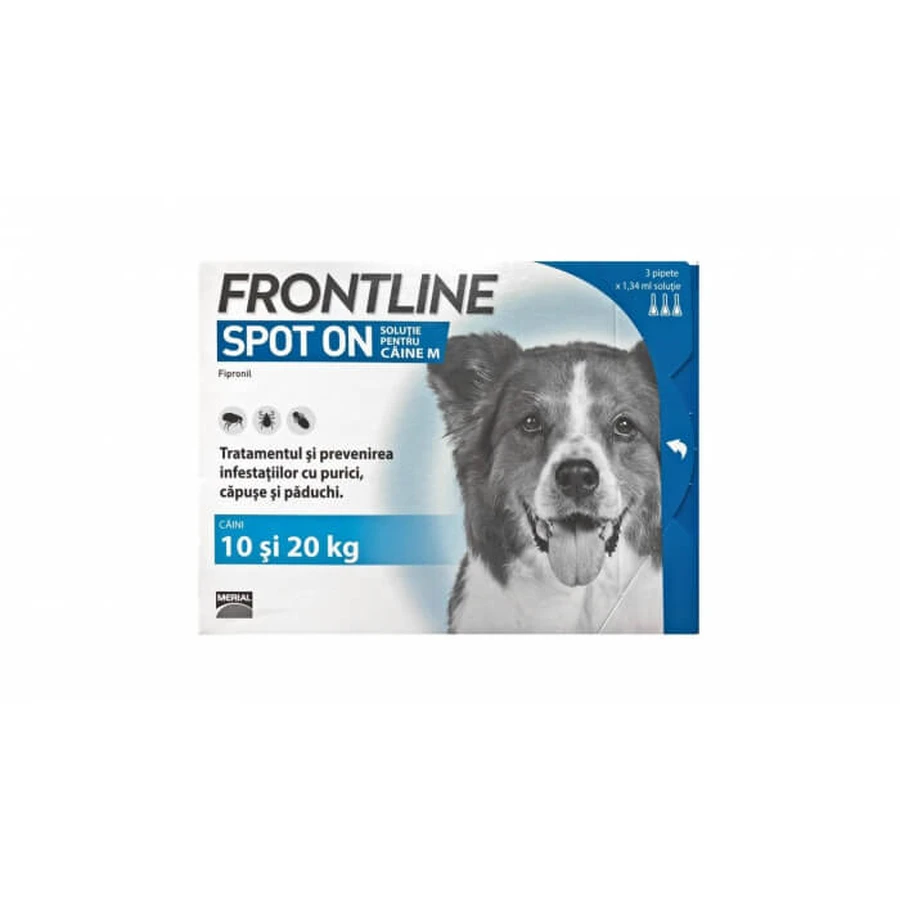 Frontline Spot On Caine M (10-20 kg) - 1 pipeta przeciwpasożytnicza (Fipronil): ceny i cechy