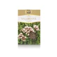 Valeriaan thee, 50 g, Stef Mar Valcea