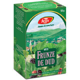 Feuilles de thé Dud, M119, 50 g, Fares