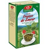 Tè di foglie di lampone D137, 50 g, Fares