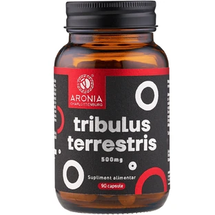 Tribulus Terrestris 500 mg - 90 capsules with 90% saponins for vitality, libido and physical performance