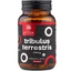 Tribulus Terrestris 500 mg - 90 capsules with 90% saponins for vitality, libido and physical performance