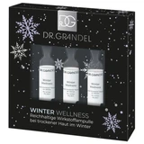 Winter Wellness Aktiv Konzentrat Fläschchen 3x3 ml, Dr. Grandel